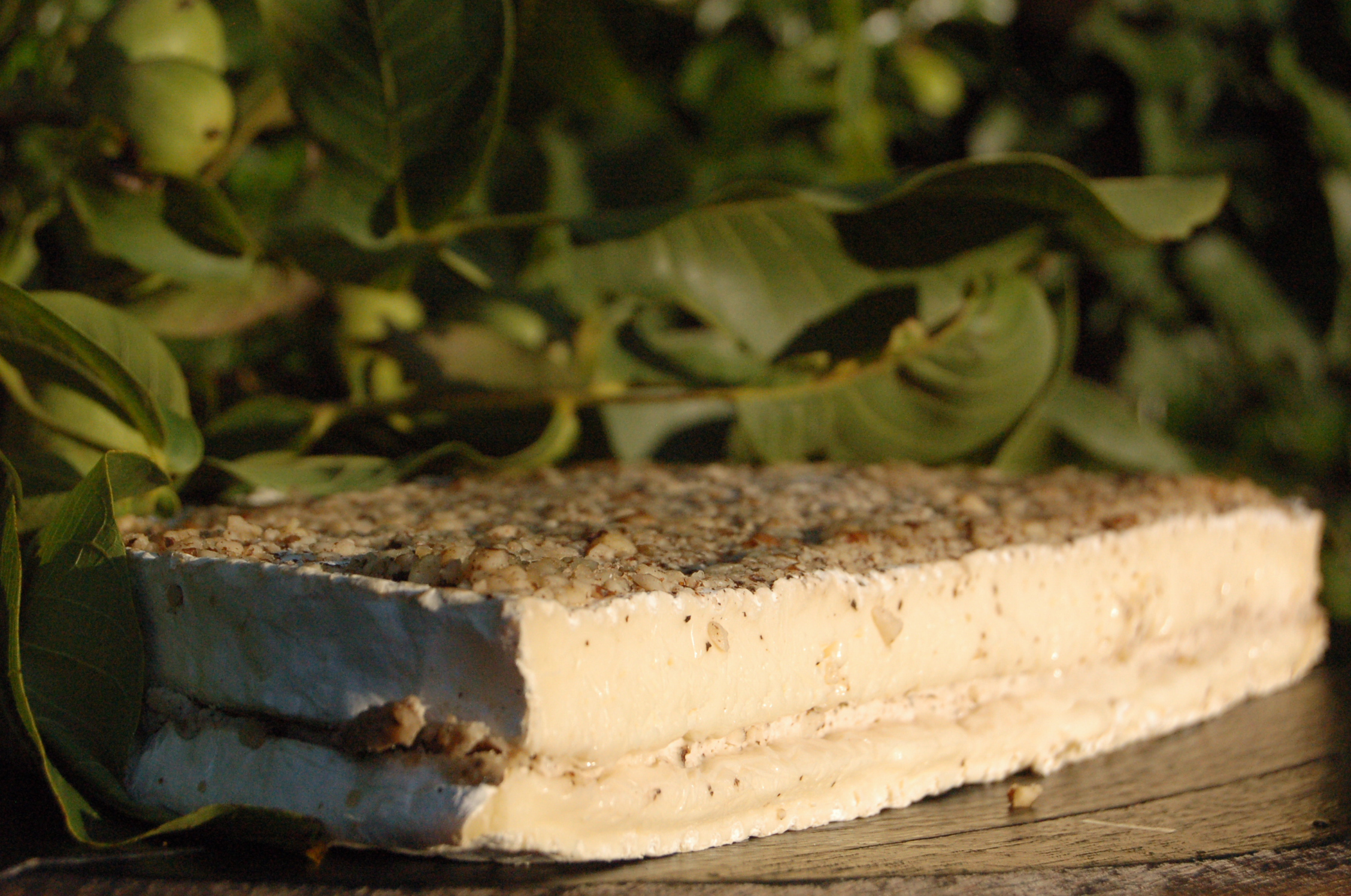 Photo fromage Roue Forestière